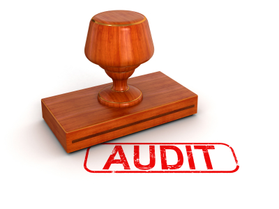 Audits for Privately Held Companies